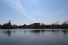 IMG_3454_800x533