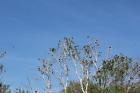 IMG_3473_800x533