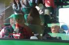 IMG_3533_800x533