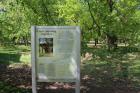 IMG_3604_800x533
