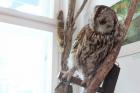 IMG_3631_800x533