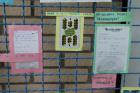 IMG_3928_800x533