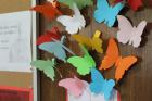 IMG_3944_800x533