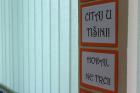 IMG_3954_800x533