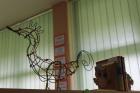 IMG_3962_800x533