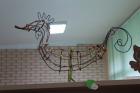IMG_3992_800x533