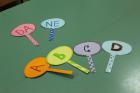 IMG_4034_800x533