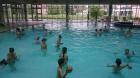 DSC_0008_800x450