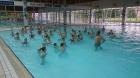 DSC_0017_800x450