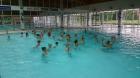 DSC_0029_800x450
