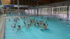 DSC_0030_800x450