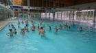 DSC_0037_800x450