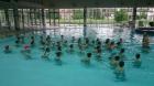 DSC_0040_800x450