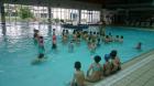 DSC_0041_800x450
