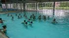 DSC_0042_800x450