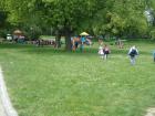 DSC03853_1024x768