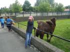 DSC03877_1024x768