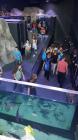 3.Aquatica