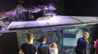 IMG_20170405_153452