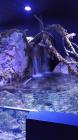 IMG_20170405_154836