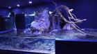 IMG_20170405_154841