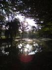 Luniki Park