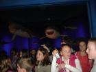 DSC05202we