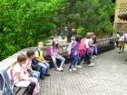 DSCI0337we