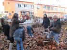 IMG_8232we