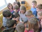 IMG_9443we
