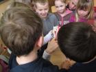 IMG_9446we