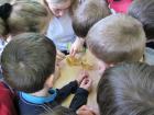 IMG_9452we