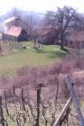 Dan Voda 22.3.2013. (53)We