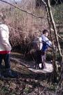Dan Voda 22.3.2013. (8)We