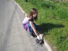 IMG_0245we