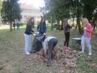 IMG_4411we