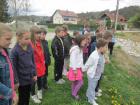 IMG_4484we