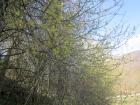 IMG_4314we