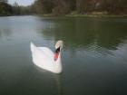 IMG_4346we