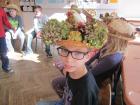 IMG_6929we