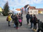 IMG_7394we