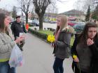 IMG_5282web
