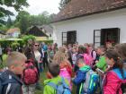 IMG_9537we