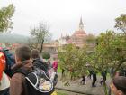 IMG_0648we