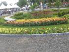 20160603_172248
