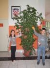 IMG_1504we