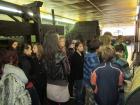 IMG_1749we