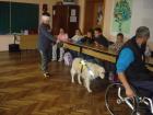 8.11.2011.kola Gost Predava Davor Brli 057we