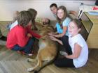 IMG_0713we