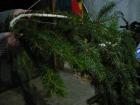 P1010036we